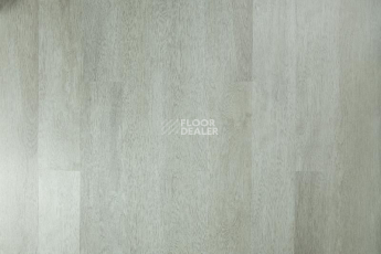 Кварцвиниловые полы Tarkett Funky House CRUZE фото 1 | FLOORDEALER